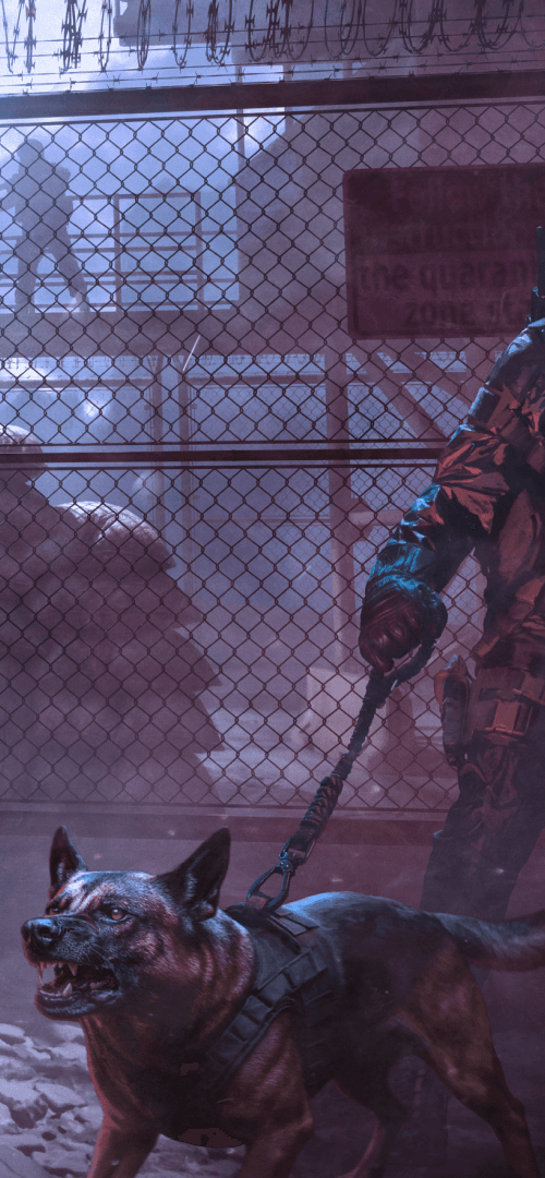 Quarantine Zone: The Final Check